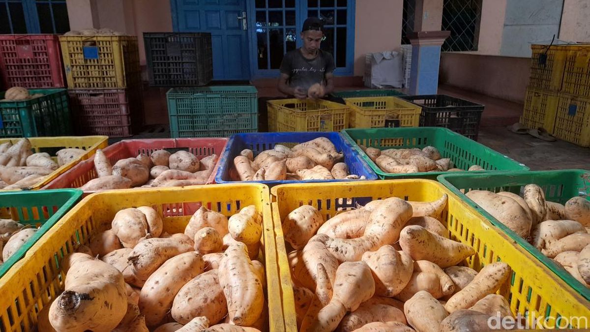 Dokumentasi Desa 8